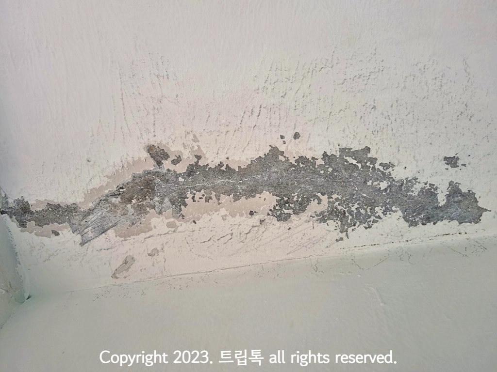 하얀벽에 페인트가 벗겨져 회색 콘크리트가 보인다.