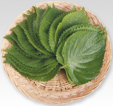 한국의 떡 종류 깻잎떡-깻잎
