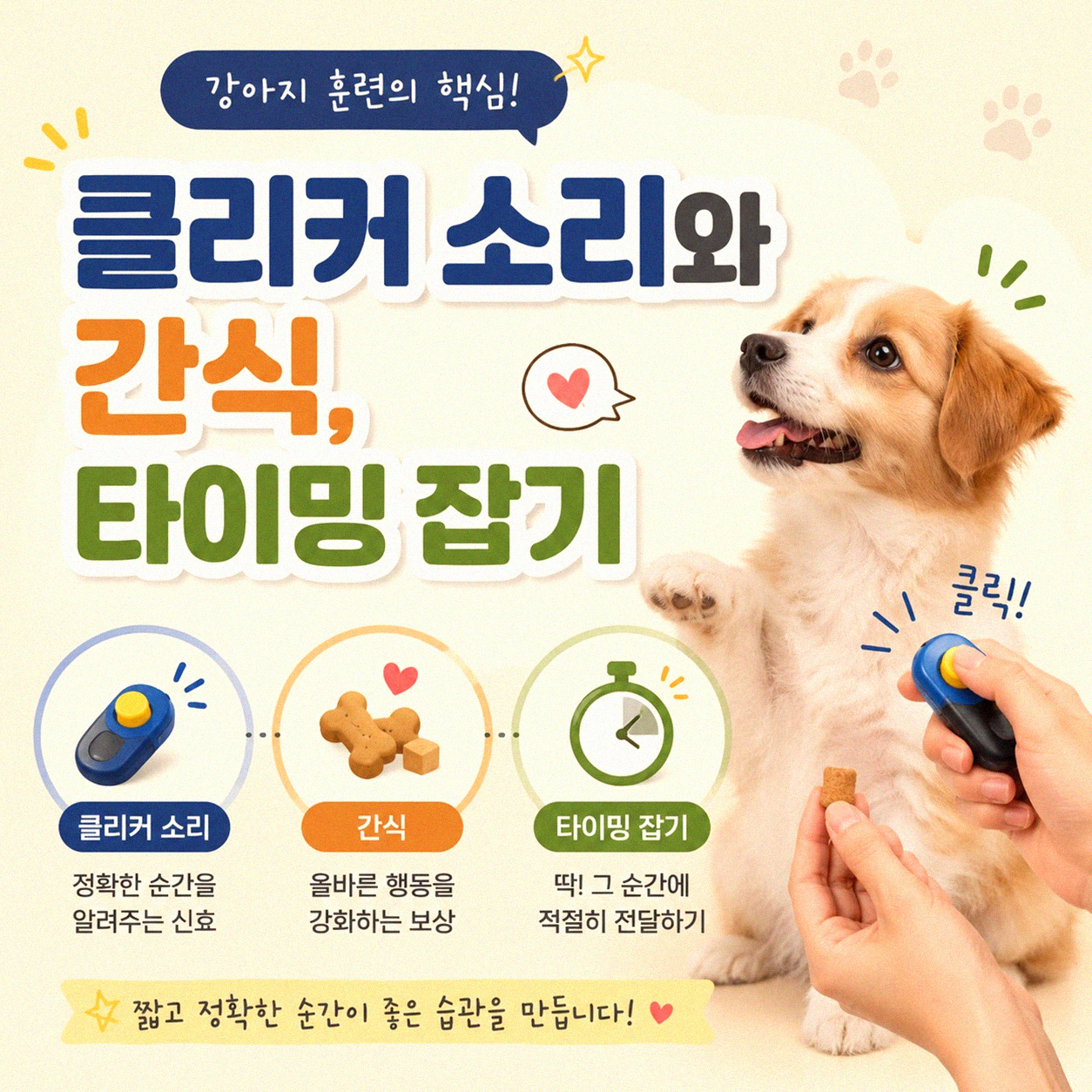 고양이 클리커 훈련 어떻게 시작할까