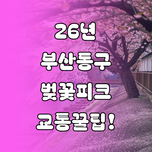 2026년 부산 동구 벚꽃 골든타임 ..