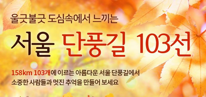 서울단풍길