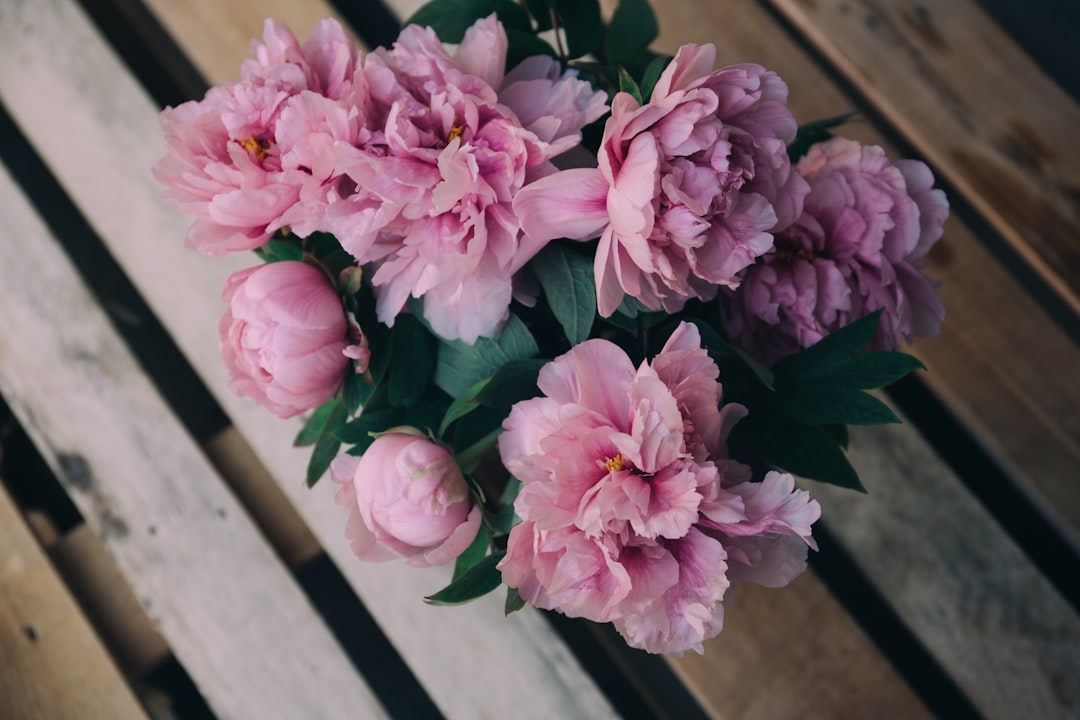 Arrangement.