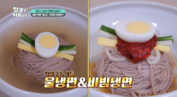 어서와한국은처음이지-평양냉면