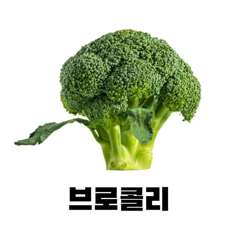 브로콜리
