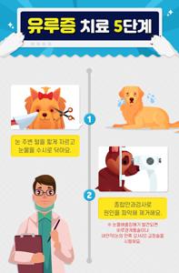 강아지 눈물 냄새