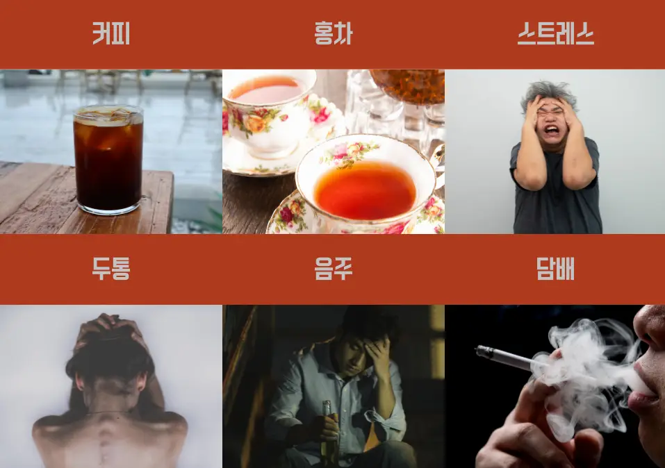 멜라토닌영양제