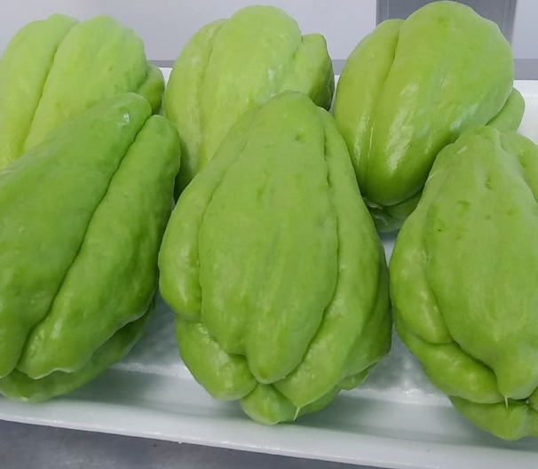 조연농장 차요테