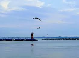 홍성 가볼만한곳 베스트 10 모음