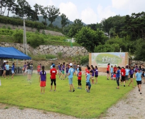 봄꽃 축제