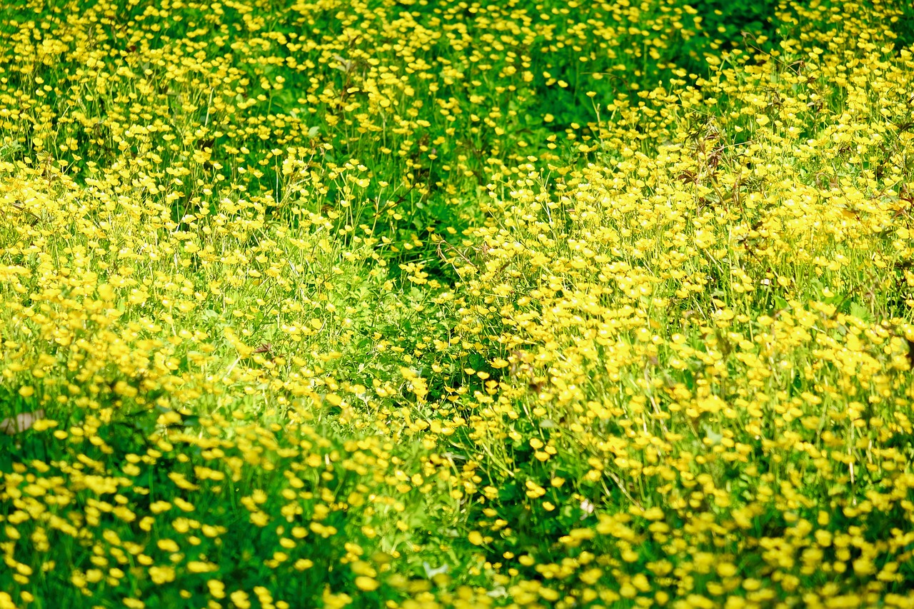 🌸2025 5월달력 무료 출력 & 직접 만드는 법까지! 가정의달 알차게 보내는 꿀팁 총정리