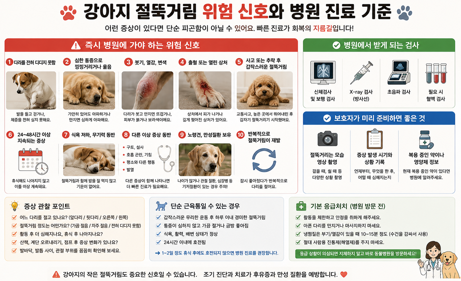 강아지 절뚝거림 위험 신호와 병원 진료 기준 이미지, 강아지 절뚝거려요, 강아지 다리를 못 디뎌요, 강아지 다리 붓기, 강아지 골절 증상, 슬개골 탈구, 십자인대 파열, 강아지 절뚝 병원, 응급 증상 체크리스트