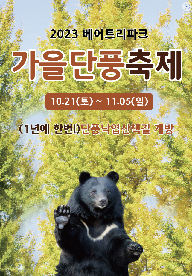 2023 가을 단풍 축제