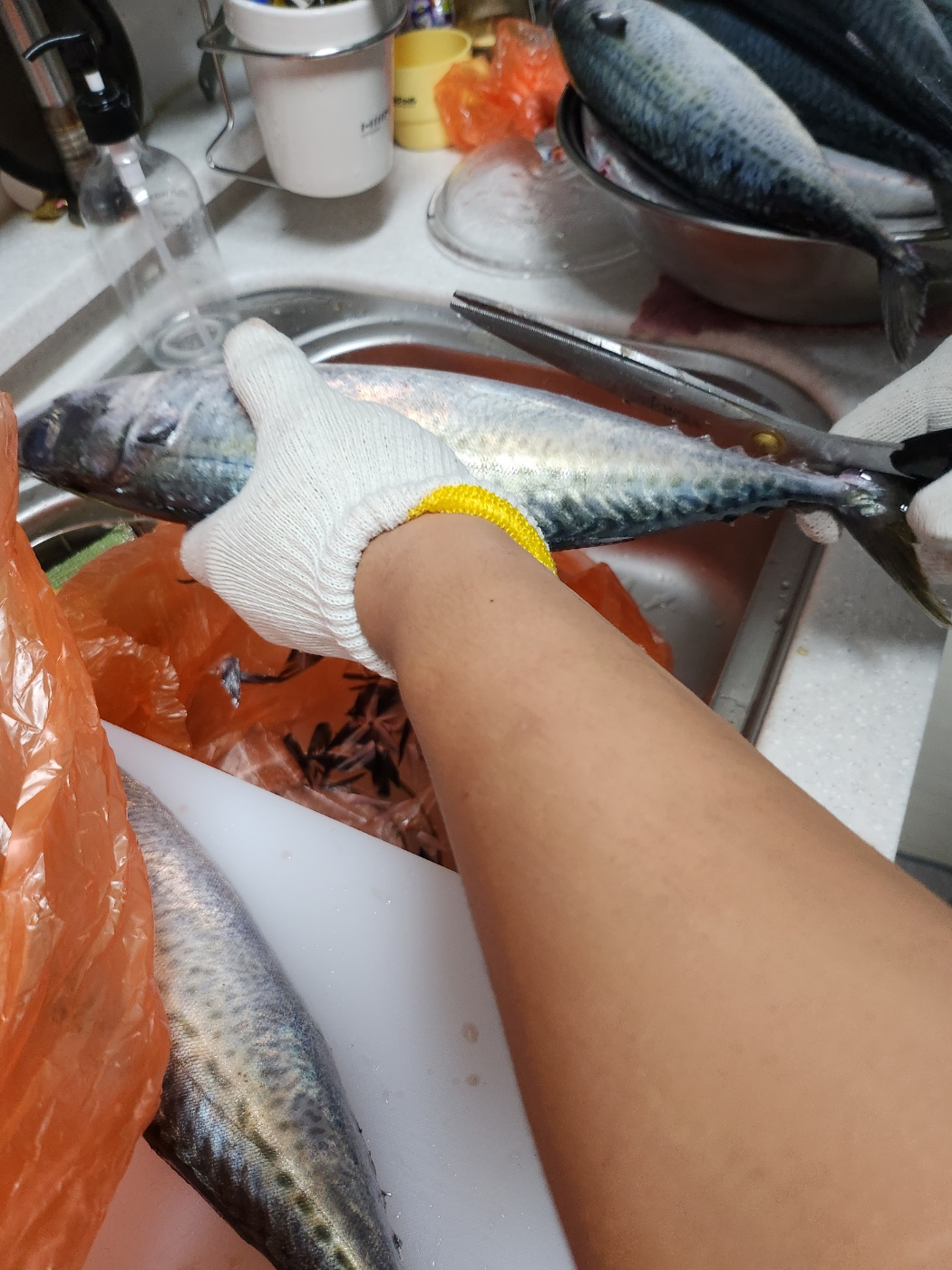 노량진 수산시장 새벽시장 고등어구매