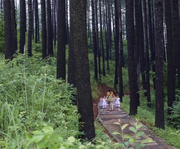 광양 가볼만한곳 베스트 10