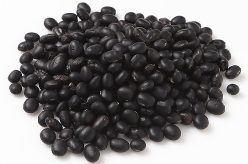 검은콩