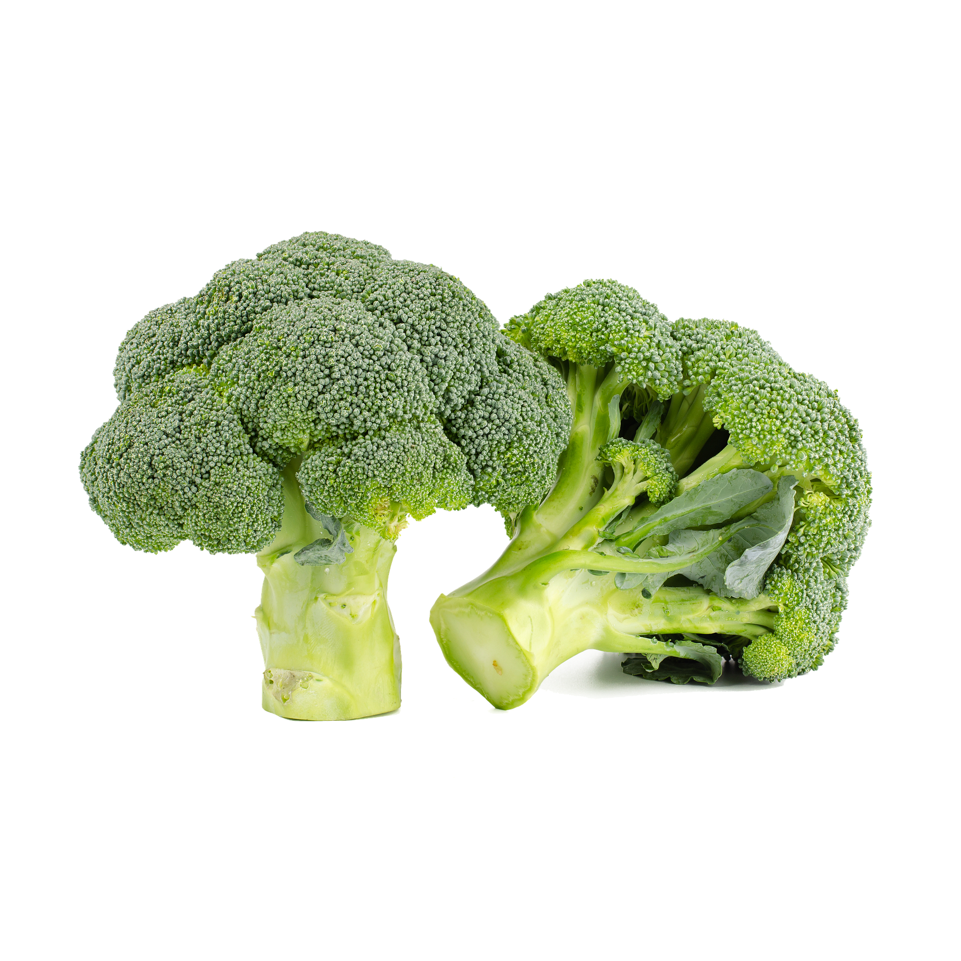 면역력 높이는 음식