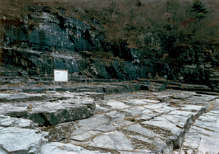 천전리공룡발자국화석