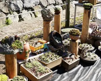 평창 백일홍 축제_15