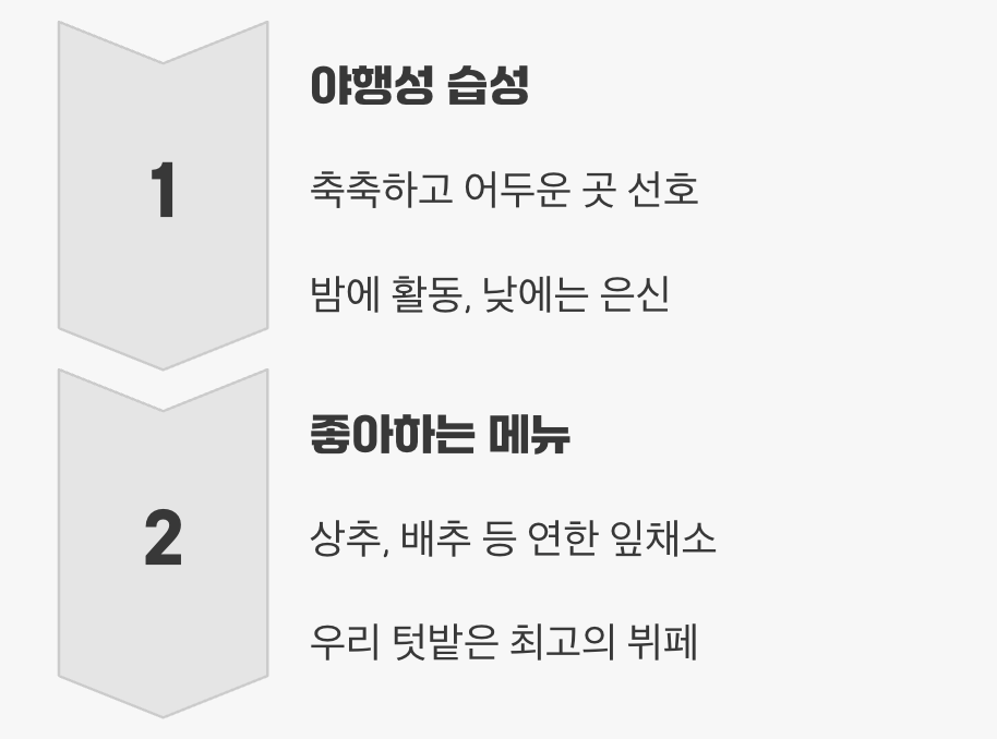 먼저 적을 알자&amp;#44; &amp;#39;밤의 미식가&amp;#39;