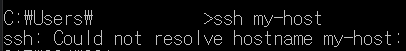 설정한 host 이름으로 접속이 불가능