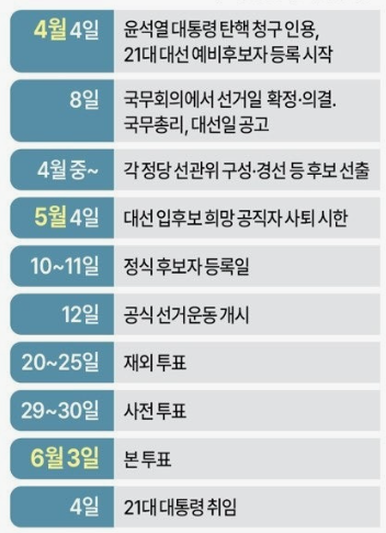 6월 3일 대선 확정