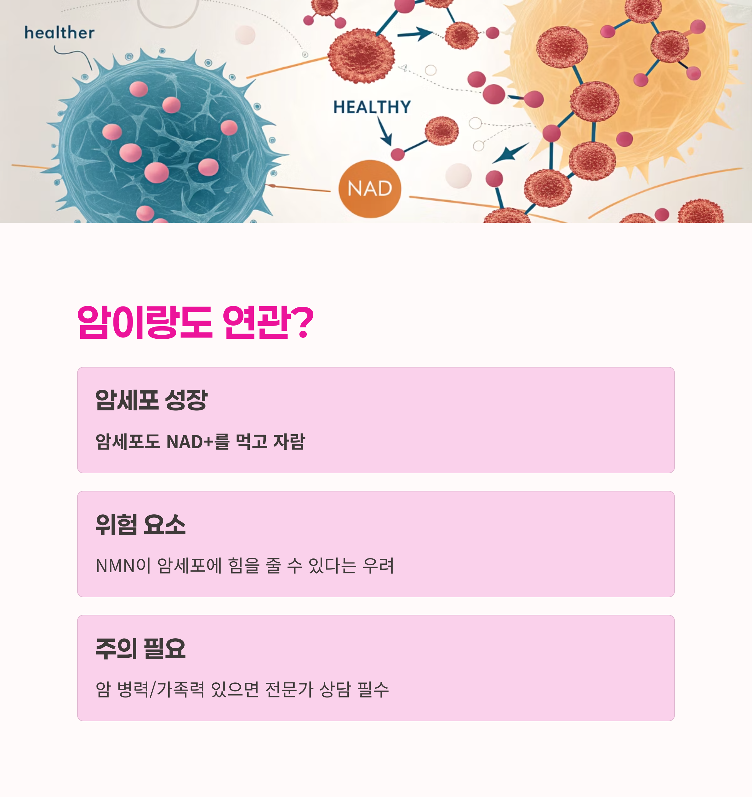 암세포위험,