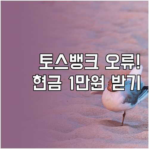 토스뱅크 외화통장 환전 오류 1만원 ..