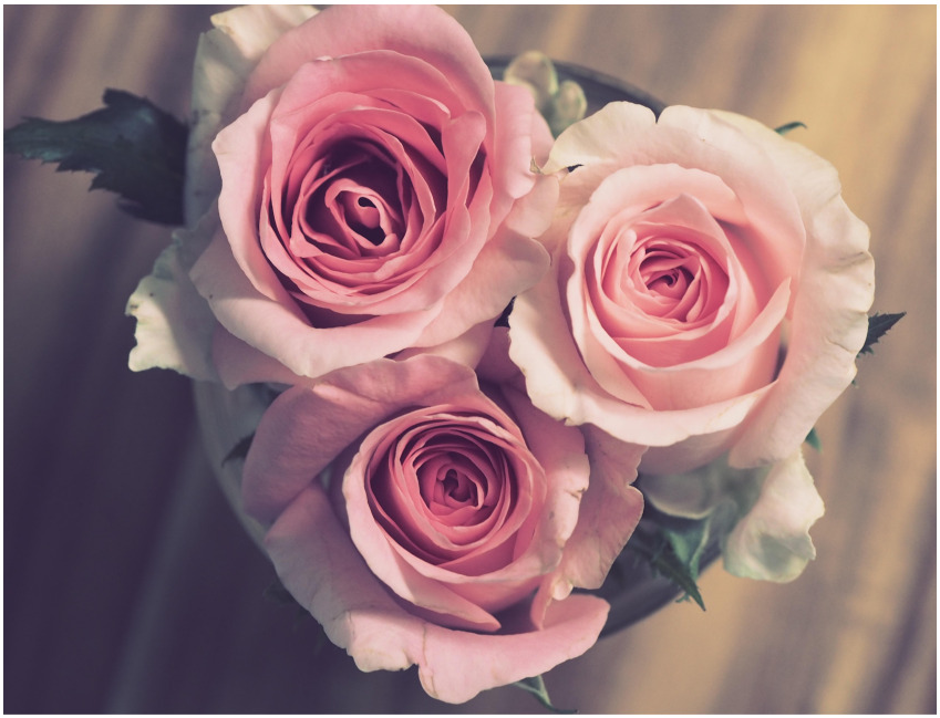 일산 웨딩박람회