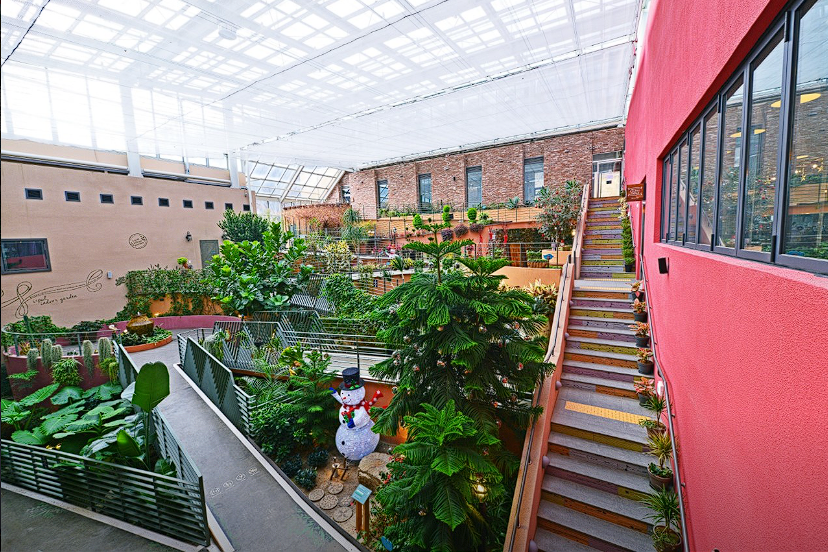 안산 식물원 매화, 카페 정보