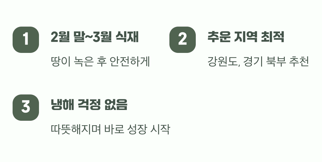 봄 심기&amp;#44; 혹독한 추위를 피하는 안전한 선택
