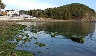 비토해양낚시공원