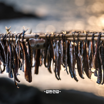 과메기 효능