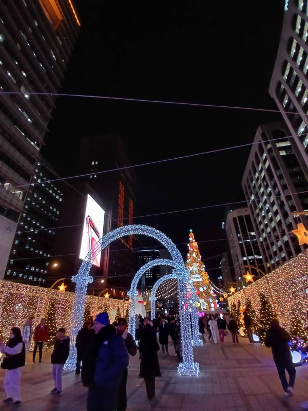 빛초롱 청계천 광장 인파들