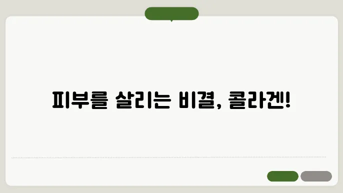 피부 건강을 위한 최적의 선택! 콜라겐 제품 비교 리뷰