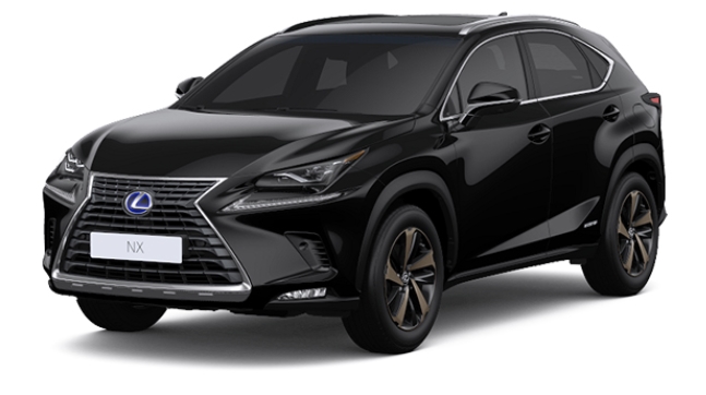 NX300h 색상코드 - BLACK(색상코드 : 212)