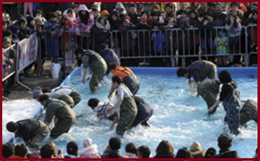 2025 홍천강 꽁꽁축제 일정, 주요 프로그램, 주차정보