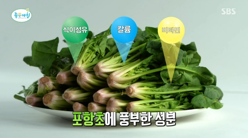 활성 산소 독소 배출 해독 팥 포항초