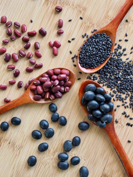 비상 상황(정전, 단수) 대비 수경재배 응급 유지 기술