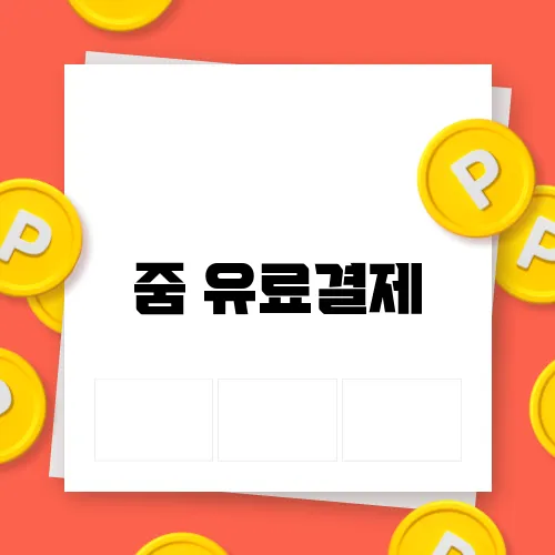 줌 유료결제
