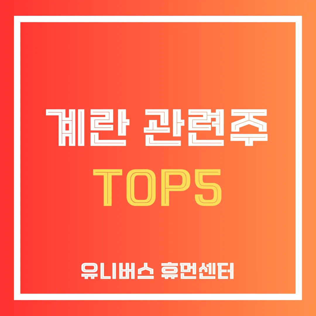 계란 관련주 TOP5