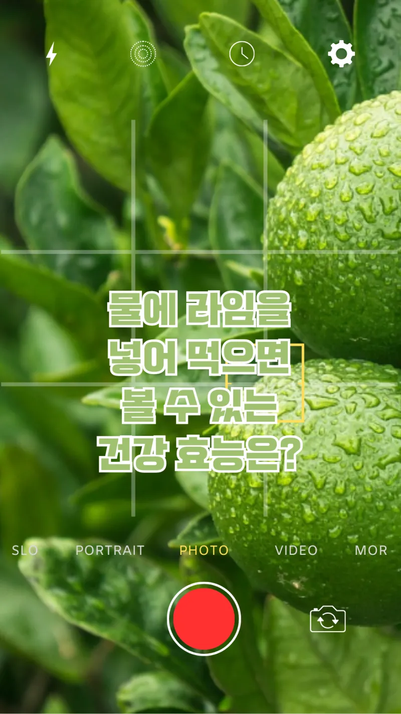 물에 라임 넣어 건강 효능