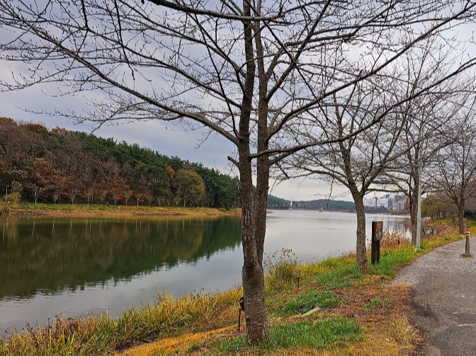 군산 가볼만한곳 베스트10
