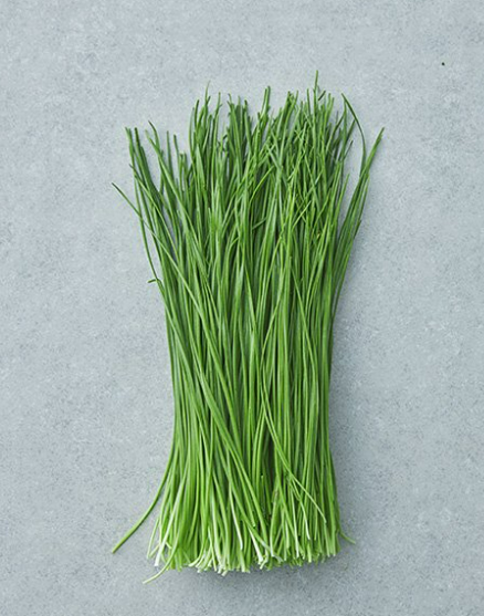 봄철 건강식 부추 (효능, 부작용, 요리),부추 국내산 vs 수입산 비교