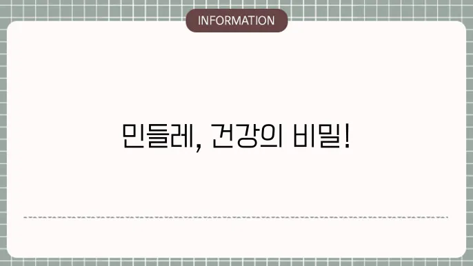민들레 부작용