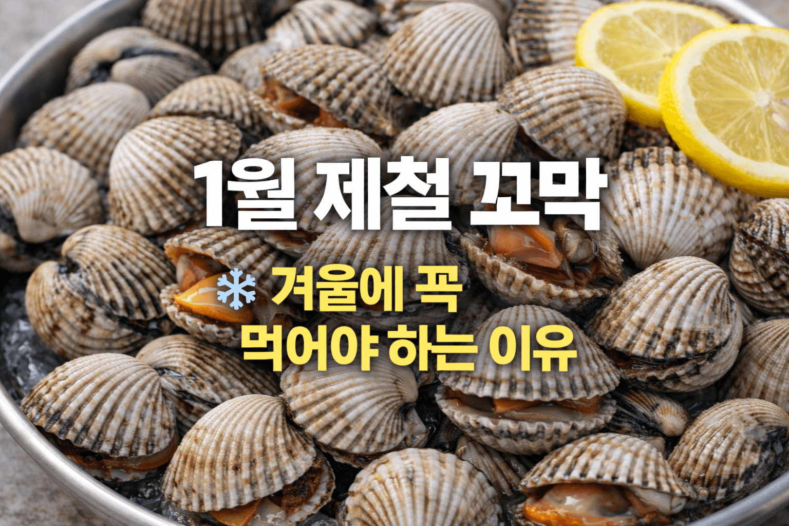 1월 제철 꼬막, 겨울에 꼭 먹어야 하는 이유 썸네일