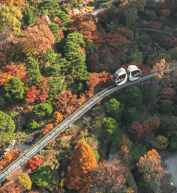 경기도 광주 곤지암 화담숲 예약 오픈 일자∙예약방법ㅣ단풍 개회시기