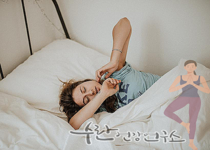 비맥스 메타 가격