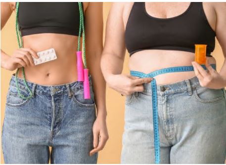 다이어트 보조제 순위 주요성분