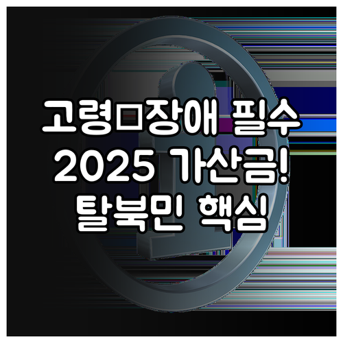 고령 한부모 장애 대상 2025 북한..