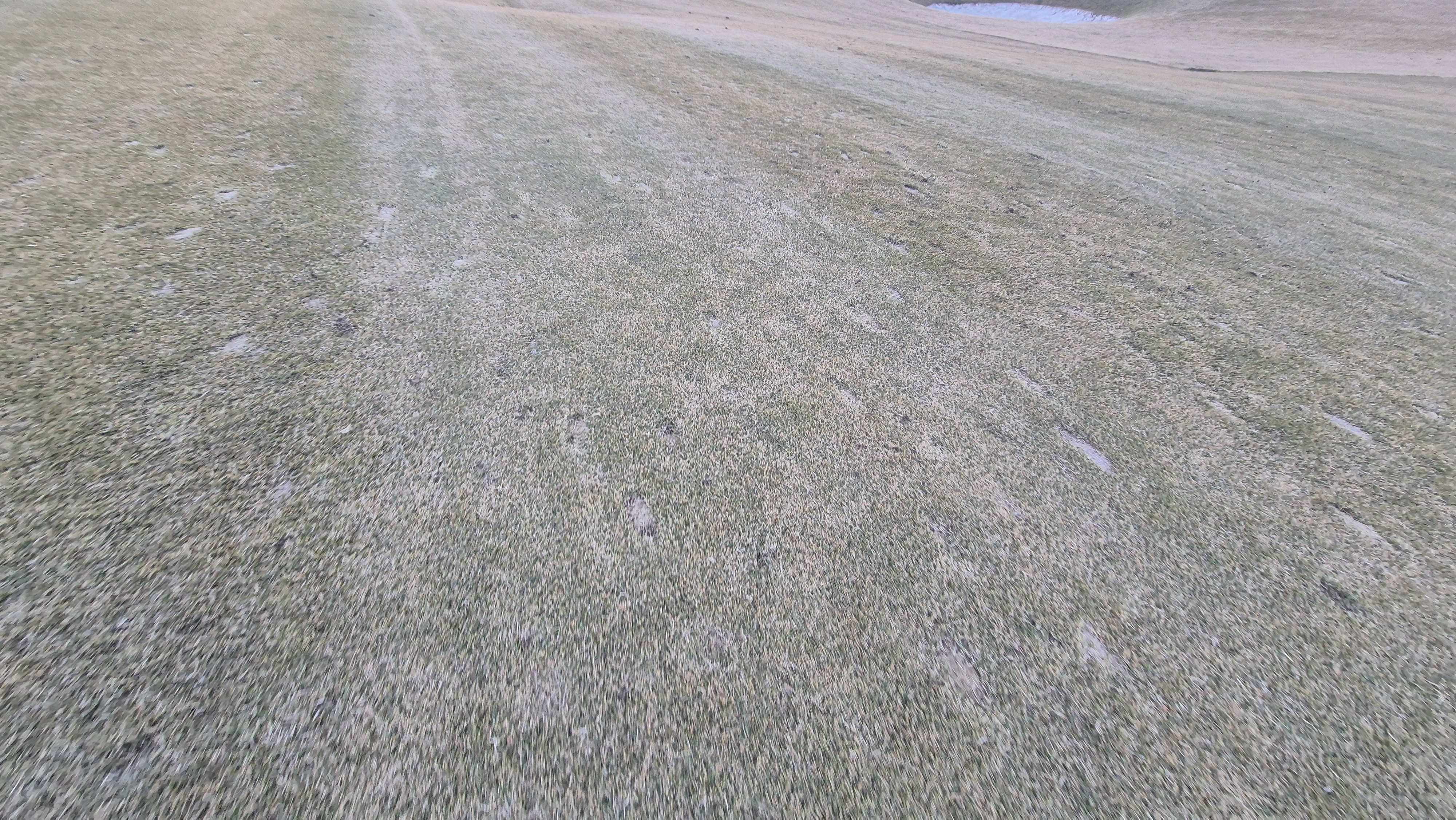 레이캐슬cc 코스 관리 상태